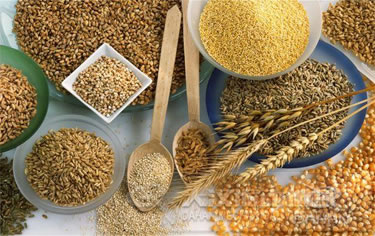 糧食除雜振動篩 糧食除雜振動篩